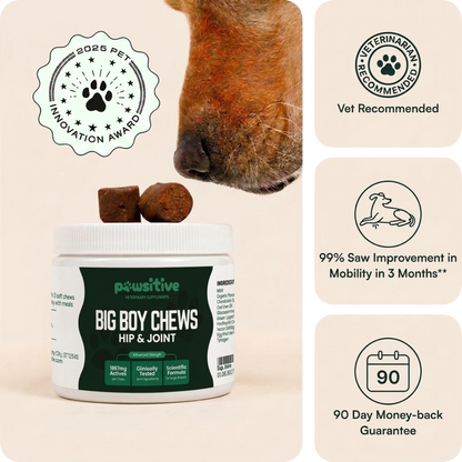 Hip & Joint Recovery Chews
