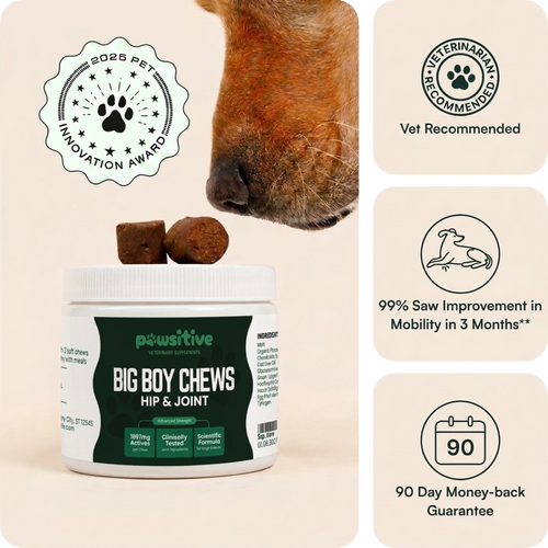 Hip & Joint Recovery Chews
