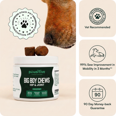 Stop the Silent Inflammation Before You See the Signs with Pawsitive™ Green Lipped Mussel + Glucosamine Supplement