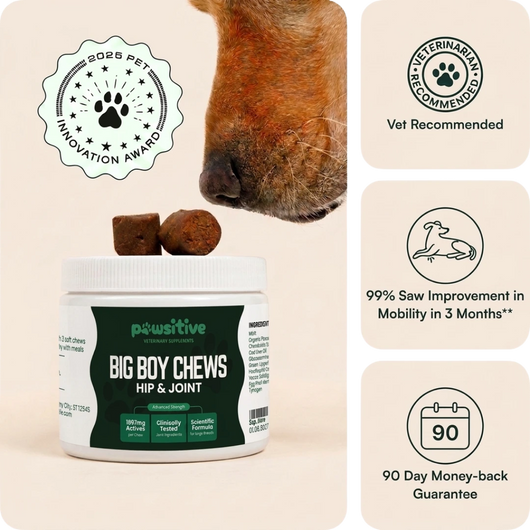 Stop the Silent Inflammation Before You See the Signs with Pawsitive™ Green Lipped Mussel + Glucosamine Supplement