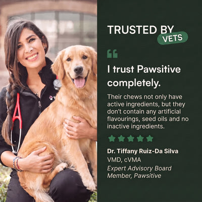 Stop the Silent Inflammation Before You See the Signs with Pawsitive™ Green Lipped Mussel + Glucosamine Supplement