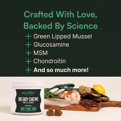 Stop the Silent Inflammation Before You See the Signs with Pawsitive™ Green Lipped Mussel + Glucosamine Supplement